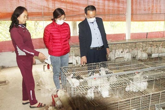 ​Nhiệm vụ khoa học, công nghệ phải gắn liền với tăng trưởng xanh, chuyển đổi số